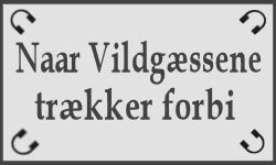 I Henrik Ibsens Et Dukkehjem møder vi den ejegode Nora, der til trods for sin ellers underdanige karakter, til sidst ender med at gøre oprør imod både husbond og sin rolle som ægteviv.
Men tør en mand også vove et oprør imod sin hustru, og imod altid at skulle udfylde rollen som agtværdig ægtemand? Det er hvad tøffelhelten Adolf, forsøger at overbevise sig selv om i denne historie.